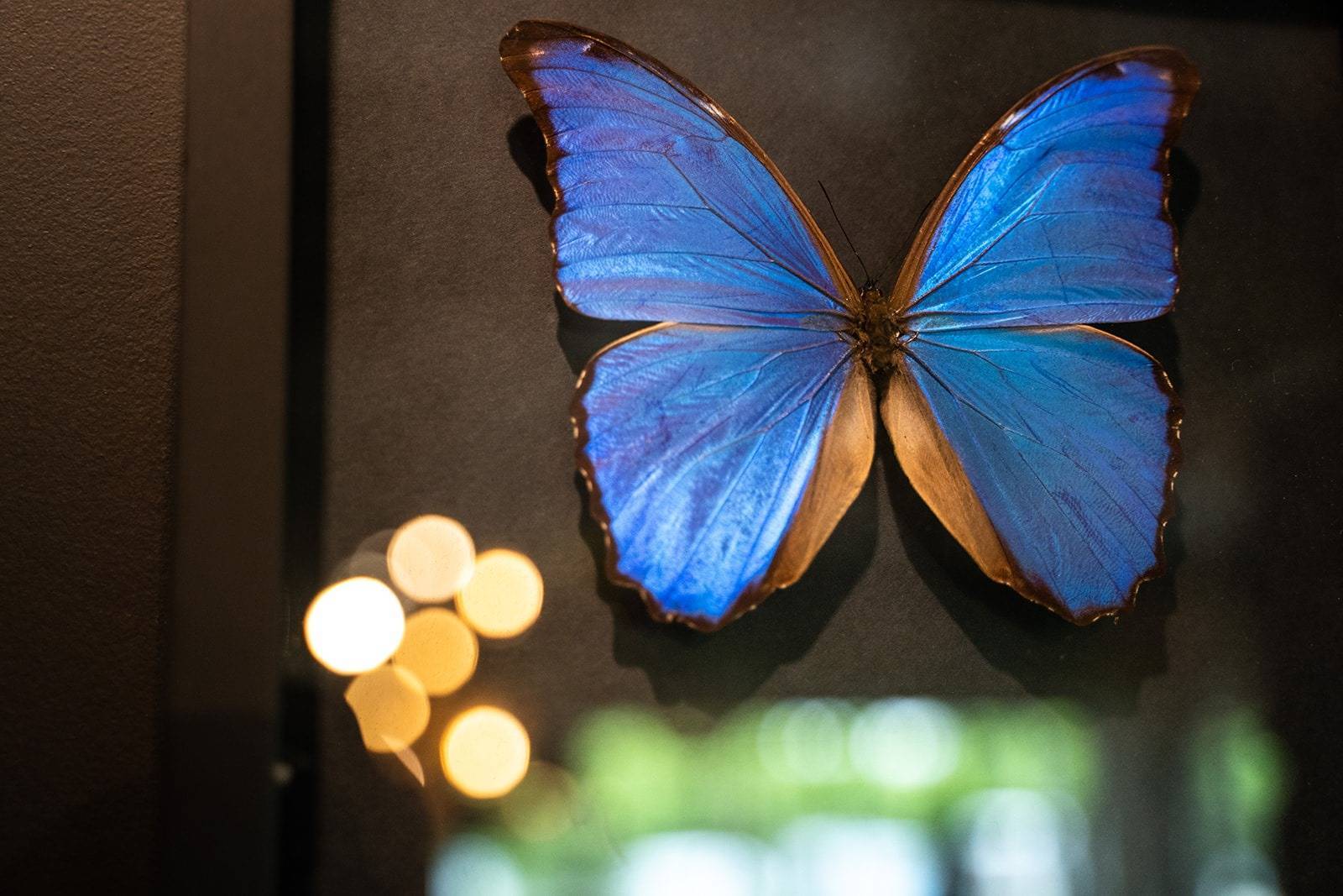 afterwork repas de fin d'année